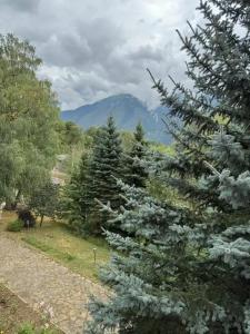 WoodLand hotel - 12
