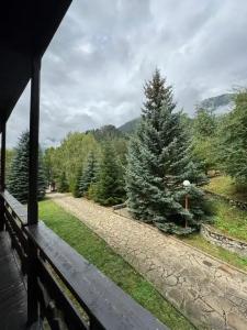 WoodLand hotel - 17