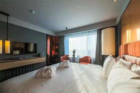 Valo Mercure and Residences - 49