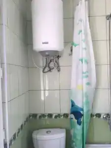 Светлана - 39