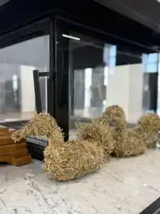 Вилла Арпачина - 4