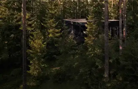 Де Ла Рей - 19