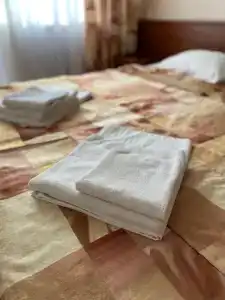 Диана - 1