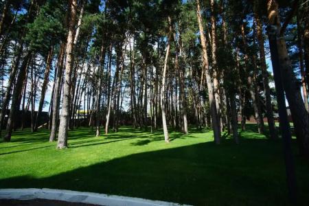 Green Park Калуга - 8