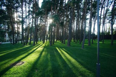 Green Park Калуга - 10