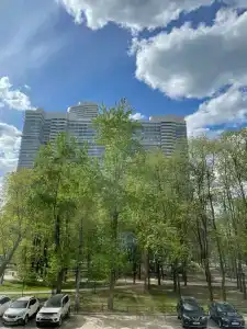 Лотус Марфино - 3