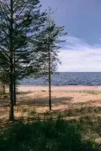 Талисман Карелии - 5