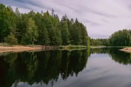 Талисман Карелии - 10