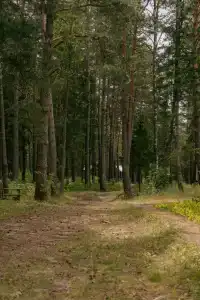 Талисман Карелии - 11