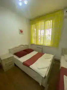 Пальма на Ленина - 14