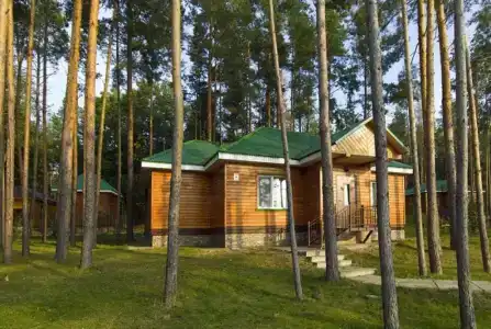 Лесной - 2