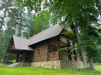 Forest - 2