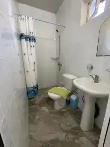 Вистерия - 5