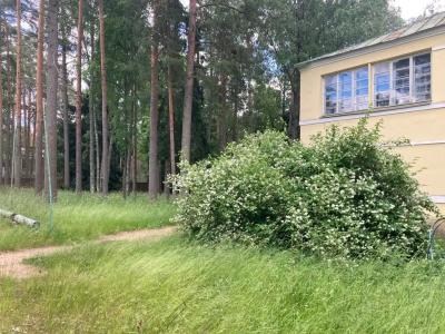 Дом творчества писателей - 18