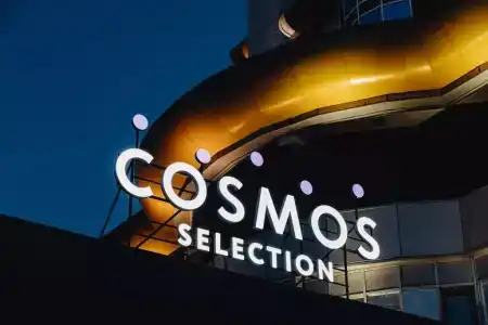 Cosmos Selection - 2