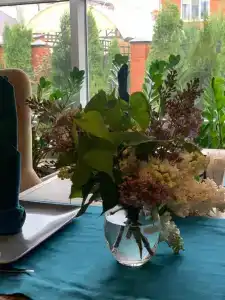 Бельведер - 110