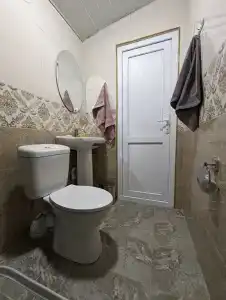 Кипарис - 72