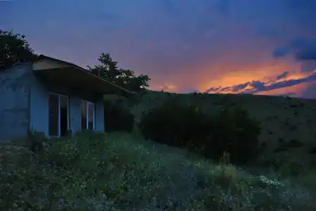 Кипарис - 68