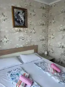 Сильва - 79