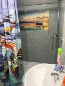 Сильва - 105