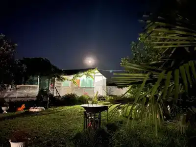 MoZaika - 20