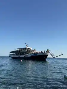 MoZaika - 42