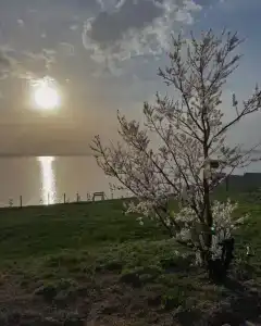 Арт - 1