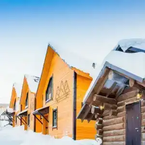 Panda house - 2