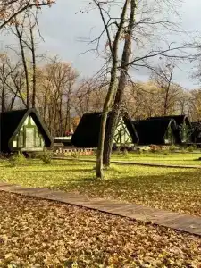 Робинзон - Eco Village - 6