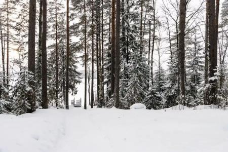 Озеро Зеркальное - 25