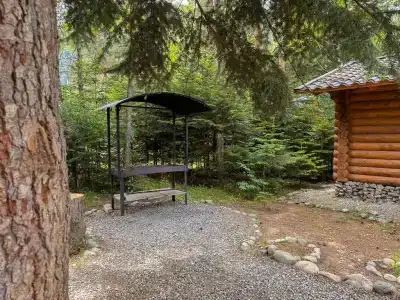 Наир - 7