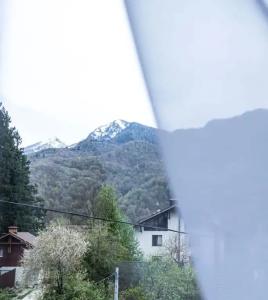 SilverPeak - 3