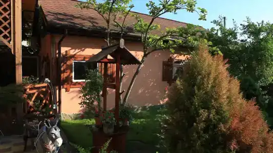 Вариант - 11