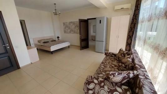 Розмарин - 151