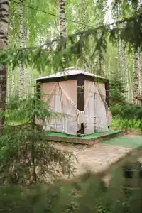 Берег Грифона - 196