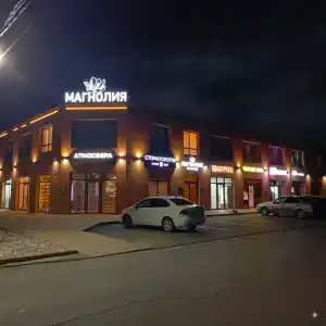 Магнолия - 1