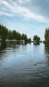 Берег Грифона - 257