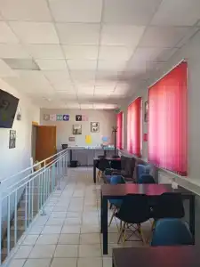 Панда - 7
