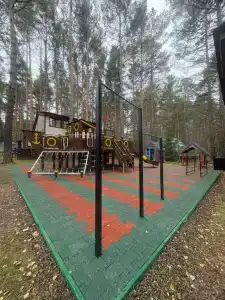 Брусника - 5
