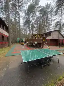 Брусника - 7