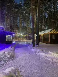 Брусника - 11