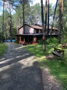 Брусника - 1