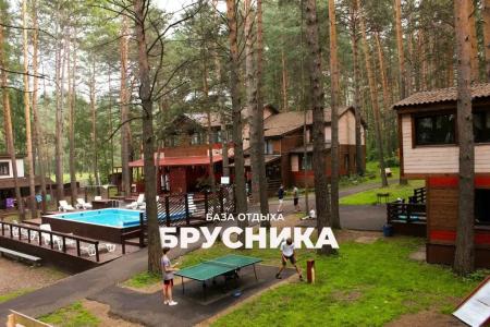Брусника - 0