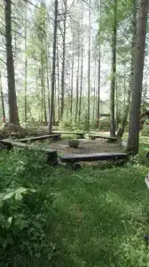 Брусника - 3