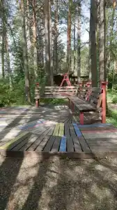 Брусника - 4