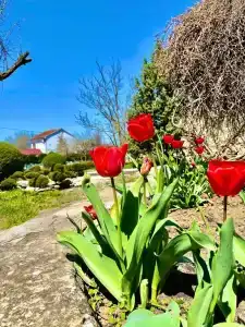 Крымское Приазовье - 7