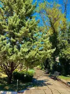 Крымское Приазовье - 19