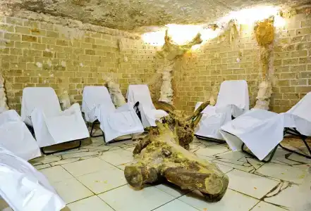 Крымское Приазовье - 47