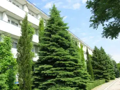 Крымское Приазовье - 48