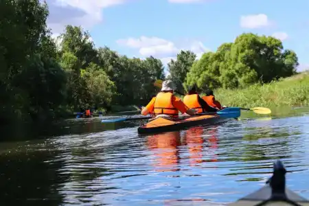 Лесной Привал - 132